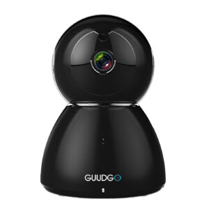 WIFI IR Security IP Camera Night Vision -BGE