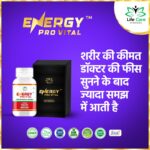 lc ayurveda energy pro vital capsules