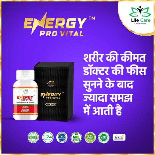 lc ayurveda energy pro vital capsules